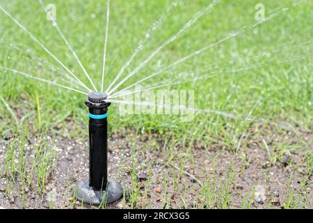 Gros plan de l'arroseur automatique escamotable pendant l'irrigation de la pelouse Banque D'Images