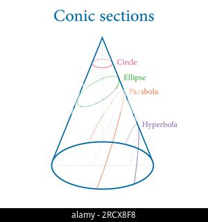 Types de sections coniques. Cercle, Ellipse, parabole et hyperbole. Illustration vectorielle isolée sur fond blanc. Illustration de Vecteur