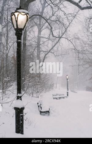 Chemin enneigé dans Central Park, avec lampadaire noir Banque D'Images