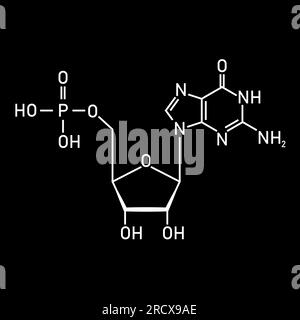 Structure chimique du nucléotide d'ADN. Trois parties d'un nucléotide. Groupe phosphate, sucre pentose et base azotée. Acides nucléiques. Illustration de Vecteur