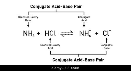 théorie de la réaction acido-basique de bronsted-lowry. Illustration vectorielle scientifique isolée sur fond blanc. Illustration de Vecteur