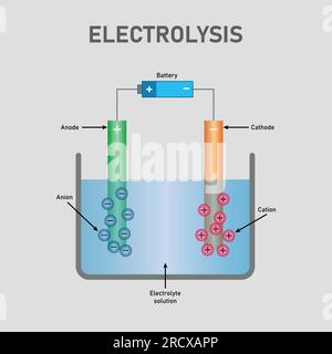 Diagramme de l'électrolyse de l'eau. Batterie, anode, cathode, cation, anion et solution électrolytique. Ressources en physique pour les enseignants et les étudiants Illustration de Vecteur