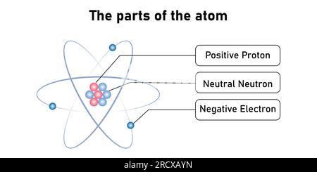 Le modèle atomique de Rutherford. Orbites électroniques, neutrons, noyau, protons et électrons. Parties d'atome. Illustration vectorielle isolée sur fond blanc. Illustration de Vecteur