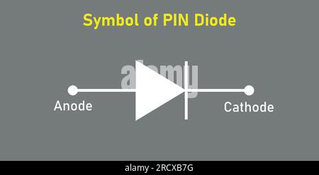 Symbole de diode PIN. Anode et cathode. Illustration vectorielle isolée sur fond gris. Illustration de Vecteur
