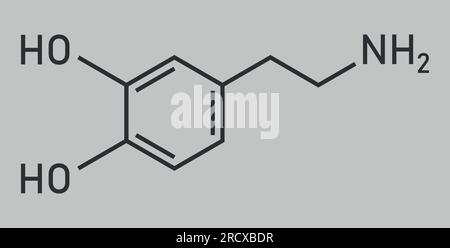 Structure chimique de la dopamine (C8H11NO2). Ressources chimiques pour les enseignants et les étudiants. Illustration vectorielle isolée sur fond blanc. Illustration de Vecteur