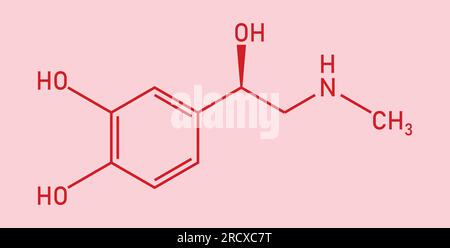 Structure chimique de l'adrénaline ou épinéphrine (C9H13NO3) Ressources chimiques pour les enseignants et les étudiants. Illustration vectorielle Illustration de Vecteur