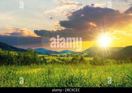 Prairie alpine avec de hautes herbes sur un fond de montagnes au coucher du soleil. beau paysage de campagne dans la lumière du soir Banque D'Images