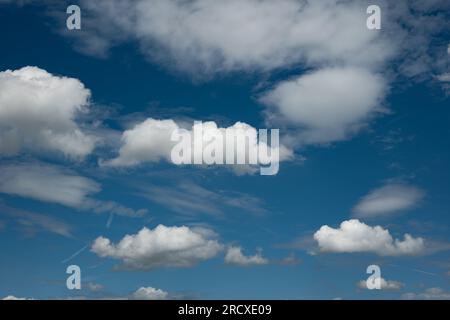 Nuages blancs gonflés contre un ciel d'été bleu profond Banque D'Images