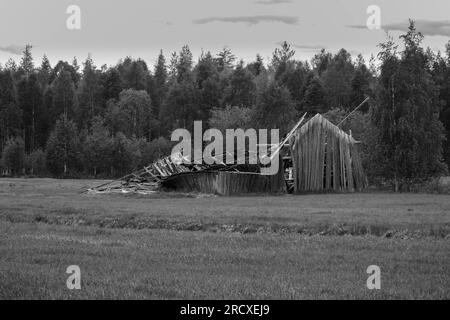 Une grange en bois délabrée dans une clairière dans la région de Lentiirantie en Finlande Fi. Juin 2023 Banque D'Images