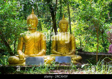 Statue de Bouddha dans le fond de la nature, belle statue de bouddha de couleur or, statue de Bouddha dans le coucher du soleil de la nature Banque D'Images