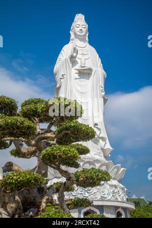 Un bonsaï et la statue du Bodhisattva d'Avalokitesvara à la pagode bouddhiste Ling Ung Bai Buc à son Tra, Danang, Vietnam. La pagode a été construite entre Banque D'Images