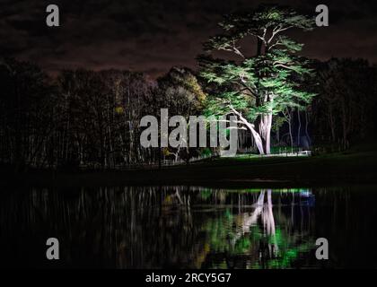 Painshill Park, Surrey, près de Londres, Angleterre Banque D'Images