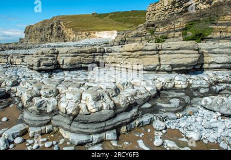 Plage de Monknash sur la côte du patrimoine de Glamorgan dans la vallée de Gloamorgan au sud du pays de Galles au mois d'août Banque D'Images