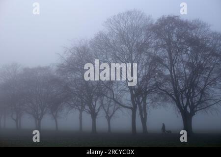 Un brouillard dense enveloppe un parc à Ilford, dans l'est de Londres, le matin. Banque D'Images