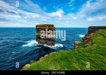 Sea Stack et Sea Pinks à Downpatrick Head, comté de Mayo, Irlande Banque D'Images