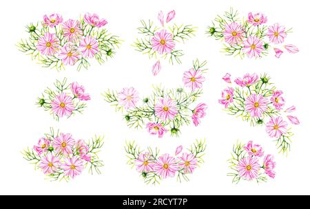 Bouquet de fleurs COSMOS ensemble isolé sur un fond blanc. Fleurs du cosmos à l'aquarelle dessinées à la main. Floraison pour la conception d'emballage, cartes, invitations, e Banque D'Images