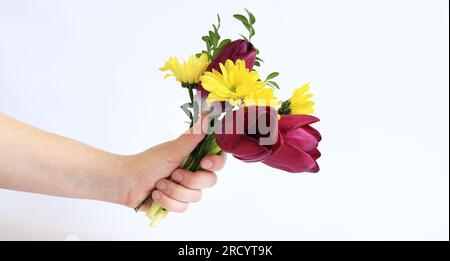 Main de femme avec un bouquet de fleurs printanières. Un bouquet lumineux présenté sur un fond blanc. Photo pour créer des cartes ou des bannières pour la Saint-Valentin, Banque D'Images