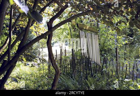 Le vent sonne dans un arbre, déplacé par le vent Banque D'Images