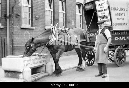 Consommation de chevaux dans une fontaine à boisson métropolitaine et une fosse à cheval de la Cattle Trough Association, Londres, époque victorienne Banque D'Images