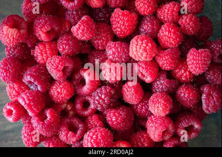 Pile de framboises rouges Banque D'Images