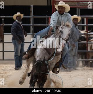 Upper Marlboro, Maryland, États-Unis. 23 septembre 2022. TRAYSON GRAVES, 14 participe à l'événement Ladies Break Away lors des qualifications du Bill Pickett Invitational Rodeo Championships au Show place Arena à Upper Marlboro, MD. Les finales de rodéo ont lieu samedi soir. (Image de crédit : © Brian Branch Price/ZUMA Press Wire) USAGE ÉDITORIAL SEULEMENT! Non destiné à UN USAGE commercial ! Banque D'Images