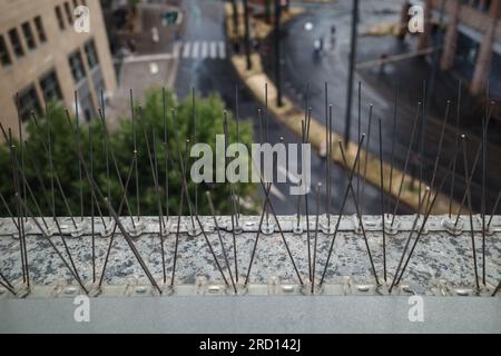 Mise au point sélective et gros plan des détails de Gutter Spikes pour oiseaux, protègent les oiseaux pour nicher et perdurer sur la zone élevée de la façade du bâtiment. Banque D'Images