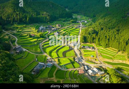 Vue aérienne des rizières en terrasses vertes dans le village traditionnel Banque D'Images