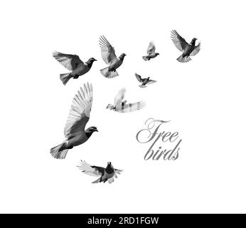 Des colombes grises volent. Logo Free Birds. Illustration vectorielle Illustration de Vecteur