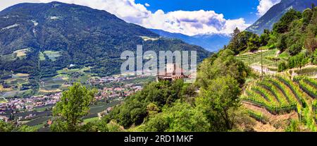 Paysage italien pittoresque. La ville de Merano et ses castels. Entouré par les montagnes des Alpes et les vignobles. Province de Bolzano, Italie Banque D'Images