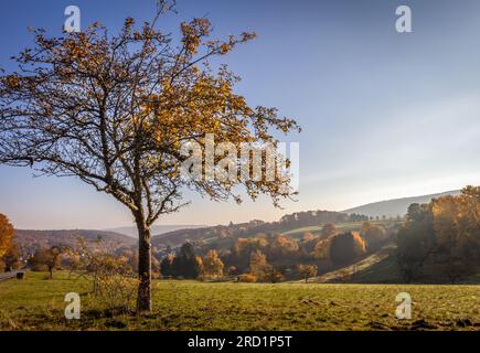 Géographie / voyages, Allemagne, Hesse, Niedernhausen, INFORMATIONS-AUTORISATION-DROITS-SUPPLÉMENTAIRES-NON-DISPONIBLES Banque D'Images