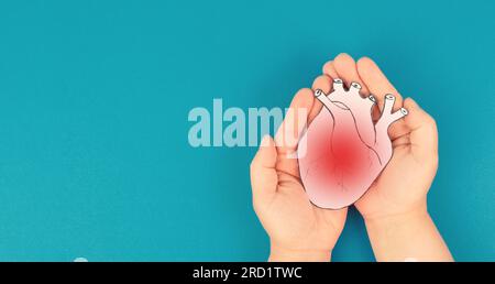 Crise cardiaque, maladie de la myocardite, inflammation du muscle, thrombose et stress cardiaque, mains tenant l'organe humain Banque D'Images