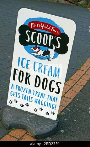 Panneau de trottoir faisant la publicité de la crème glacée pour chiens « Scoops » de Marshfield Farm, faisant la promotion de friandises congelées pour chiens en dehors d'une entreprise acceptant les animaux domestiques au Royaume-Uni Banque D'Images