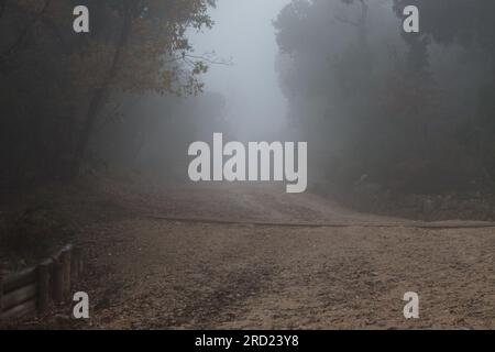 Chemin du parc naturel de la Fontaine Rouge d'Alcoy sur une journée avec pluie et brouillard, Espagne Banque D'Images