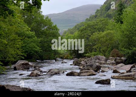 La rivière Glaslyn près de Beddgelert, Snowdonia, une rivière populaire auprès des canoéistes, adjacente au Welsh Highland Railway, Gwynedd, North Wales, juillet 2023 Banque D'Images