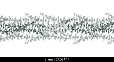 Eucalyptus floral sans couture avec des branches de dollar argentées sur blanc. Élégante illustration d'aquarelle verte botanique Banque D'Images