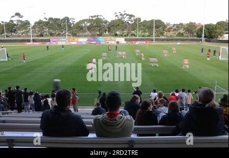 Adélaïde, Australie. 18 juillet 2023. Les spectateurs regardent Team China lors d'une séance d'entraînement au Centre sportif croate d'Adélaïde, Australie méridionale, le 18 juillet 2023. Le Croate Sports Centre est utilisé comme camp de base de l'équipe de Chine pour la prochaine coupe du monde féminine de la FIFA, Australie et Nouvelle-Zélande 2023. Crédit : Ding Ting/Xinhua/Alamy Live News Banque D'Images