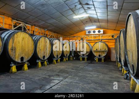 Barils de cidre à Sidreria asturien Banque D'Images