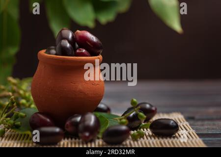 Gros plan de la collection de jamun médicinal indien ayurvédique frais de fruits biologiques (Syzygium Cumini) (les graines de jamun sont une sorte d'herbe ayurvédique pour le diabète Banque D'Images