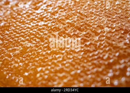 Berlin, Allemagne. 18 juillet 2023. Le miel suinte du nid d'abeille dans la cuisine du dépôt de Lichtenberg de BVG. Les abeilles produisent jusqu’à 3000 pots de miel BVG par an. Crédit : Fabian Sommer/dpa/Alamy Live News Banque D'Images