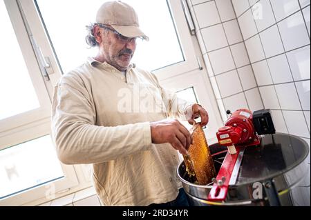 Berlin, Allemagne. 18 juillet 2023. Younes Kheir, apiculteur de la ville, soulève un nid d’abeille dans une centrifugeuse pour l’extraction du miel dans la cuisine du dépôt BVG à Lichtenberg. Les abeilles produisent jusqu’à 3 000 pots de miel BVG par an. Crédit : Fabian Sommer/dpa/Alamy Live News Banque D'Images