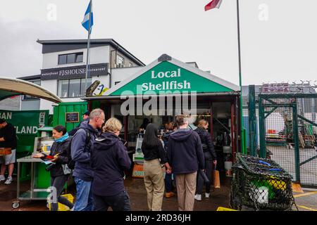 Les gens commandant des fruits de mer écossais locaux à l'extérieur, Oban Seafood Hut, Green Shack, par le port, port, Oban Écosse, Royaume-Uni. Banque D'Images