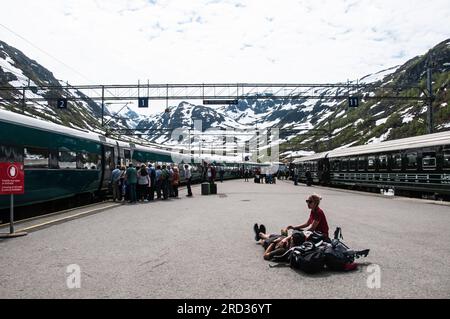 Autour de la Scandinavie - station Myrdal sur la ligne de train Oslo-Flåm Banque D'Images