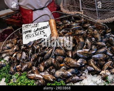 MOULES Shetland à la main a rassemblé des moules fraîches britanniques des Shetland sur glace, en vente au poissonniers Market Stall Borough Market Southwark London UK Banque D'Images