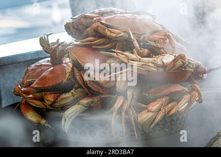 CRABE DE FISHERMANS WHARF crabe fraîchement cuit et cuit à la vapeur crabes Dungeness à Fisherman's Wharf Grotto Embarcadero San Francisco California USA Banque D'Images