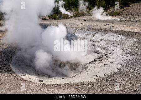 Locomotive Spring, Norris Geyser Basin, parc national de Yellowstone, Wyoming, États-Unis d'Amérique Banque D'Images