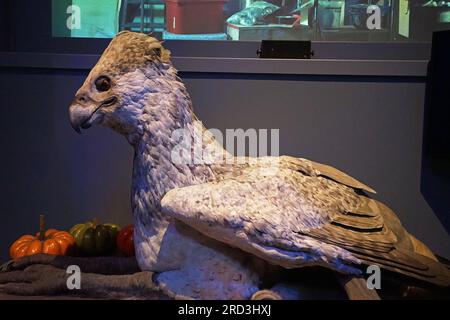 Hippogriff, moitié cheval, moitié aigle créatures à Warner bros studio tour Londres - la fabrication de Harry Potter, Royaume-Uni Banque D'Images