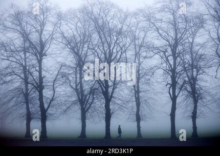 Un brouillard dense enveloppe un parc à Ilford, dans l'est de Londres, le matin. Banque D'Images