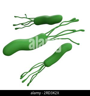 Les bactéries Helicobacter pylori 3D rendent une icône de médecine réaliste pour le logo isolé avec un chemin de coupure. Microbiologie santé humaine illustration Banque D'Images