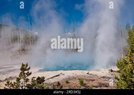 Cistern Spring, Norris Geyser Basin, Yellowstone National Park, Wyoming, United States of America Stock Photo