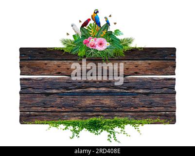 Fond de cadre de planche antique brun foncé avec des feuilles tropicales et des vignes grimpant le bord de la planche et perché sur un macaw. Isoler Banque D'Images